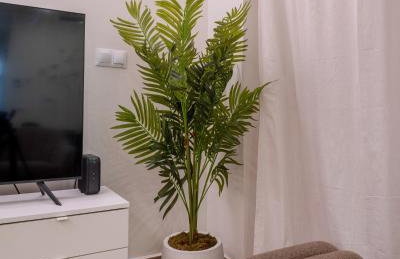 Viva Valencia Apartments - Arte & Reflejos - Foto 8