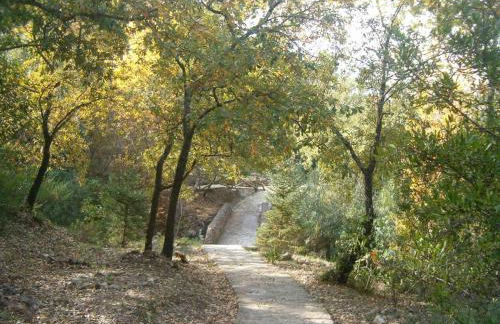 Casa Rural Casa Ronda - Foto 24