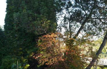 Ferienwohnung im Neubauernweg 3 - Foto 15