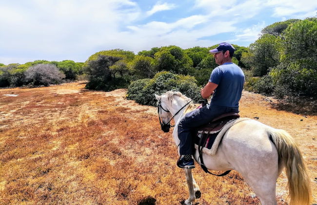 Bungalow de texas - Foto 9