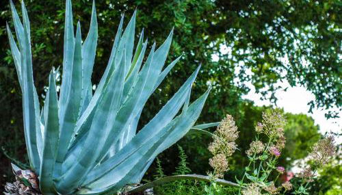 Villa Eliodora - due appartamenti - Foto 2