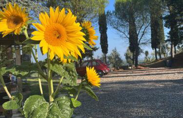 LA COLLINA DEI SAPORI Montepulciano - Photo 36