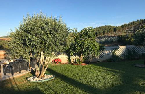 Quinta Do Centro - Foto 7