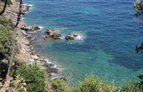 Casa Pineta - Foto 23