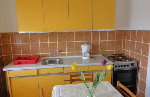 Apartmani Pavlović - Foto 42