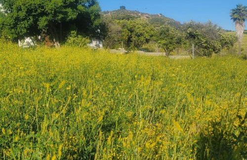 Exotic Gem Relaxing Farm Vibes Near Safari Zoo, Legoland & Wineries - Foto 17