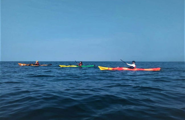 Punta Arena Kayak Tour - Photo 5