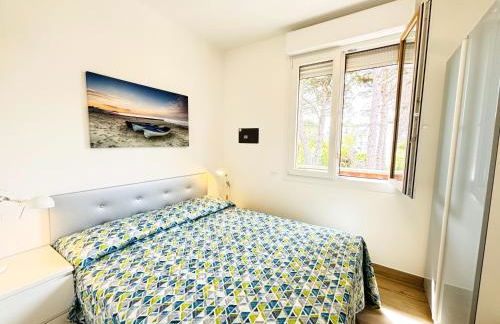 New Splendid - Foto 8