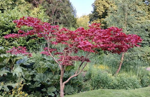 Raithby Lakehouse - Foto 21