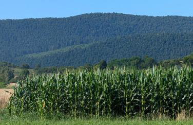 Ferienwohnung Luna mit Pool - Foto 51