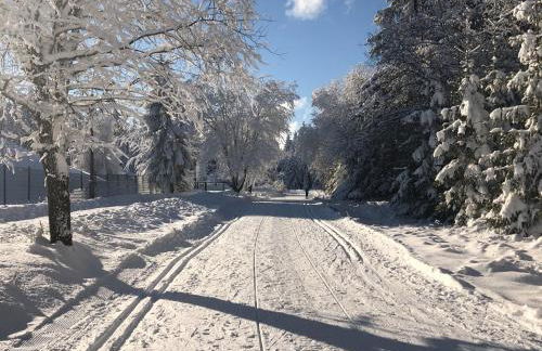 Zur alten Fabrik - Photo 40