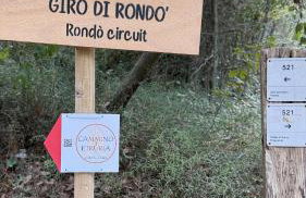 la villa bella vista - Foto 23