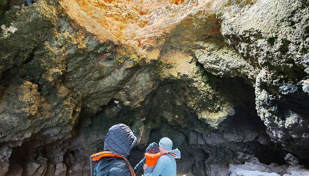 Tour privado en barco: Grutas y cuevas de Ponta da Piedade en Lagos - Foto 4