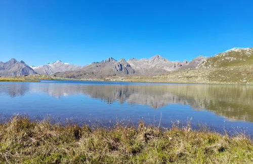 Verde Bosco - Photo 31