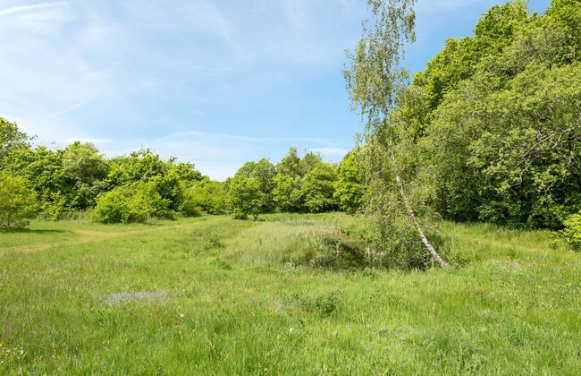 "Tydulf" - 34km from the sea - Foto 17