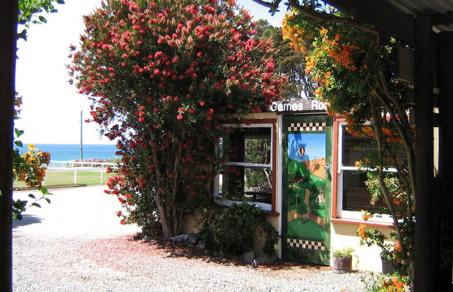 King Island Accommodation Cottages - Photo 29
