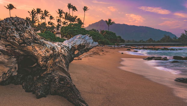 Kauai Movie Tour - Foto 4