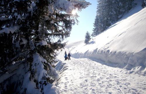 Gästehaus Alpseeblick - Photo 10