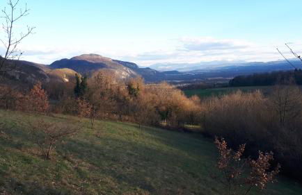 Gîte entre Vignes et Montagne - Photo 51