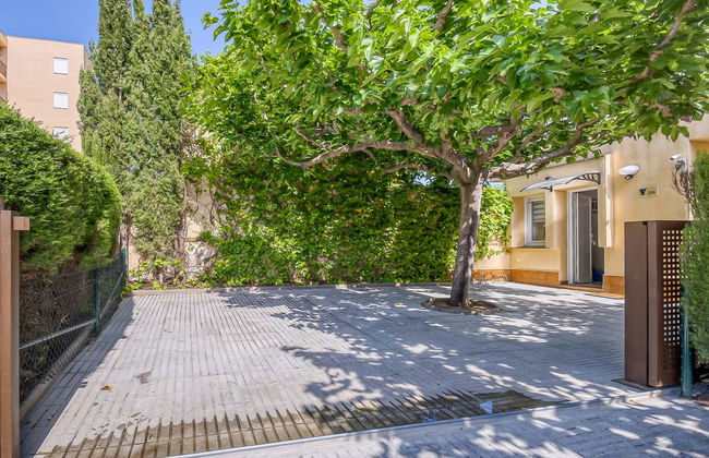 Port Estrella - Foto 31