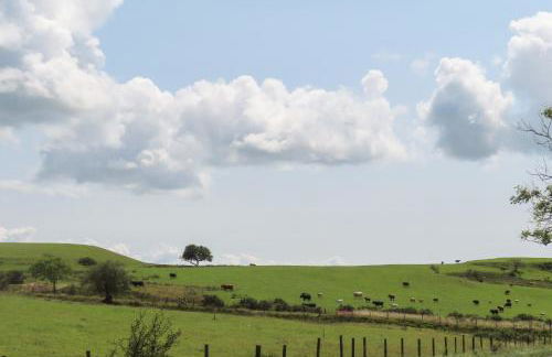 Bwthyn Derwin Fawr - Photo 34