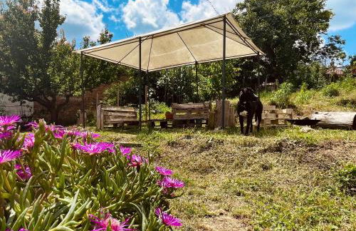 Cascina Il Girasole Rosso - Foto 41