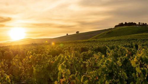 Loft in Eltville am Rhein - 2 DZ - Foto 4