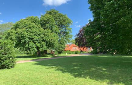 Gutshof Rothensande - Foto 27