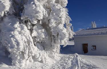 Apartment Almberg - Foto 43