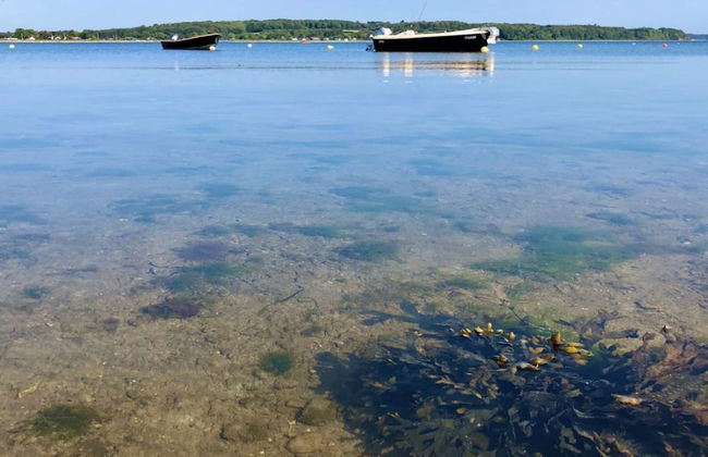 Holiday Home in Haderslev - Foto 41