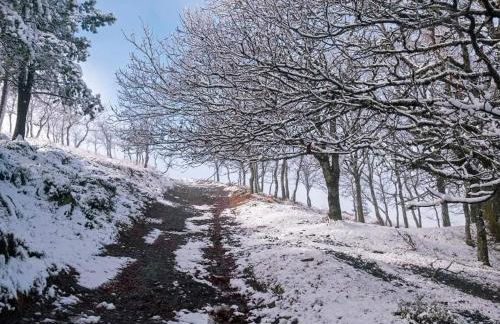 Cantinho do Talasnal - Foto 40