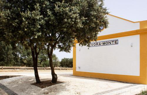 Casas do Apeadeiro de Evoramonte - Foto 42