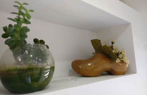 La Chiave del Gufo - Bojano - Foto 44