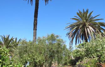 Vistas del Sur - Foto 26