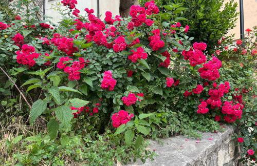 La casetta - Casa vacanze - Foto 20