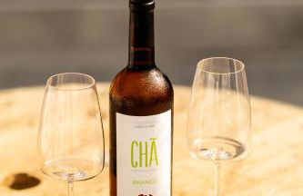 Countryside house with a pool and fireplace - Photo 48