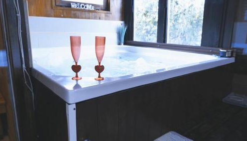 Kuća sa apartmanima Šemnica - za odmor i proslave! - Foto 2, Garden view