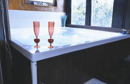 Kuća sa apartmanima Šemnica - za odmor i proslave! - Photo 2