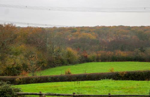 Red House Common View - Foto 15