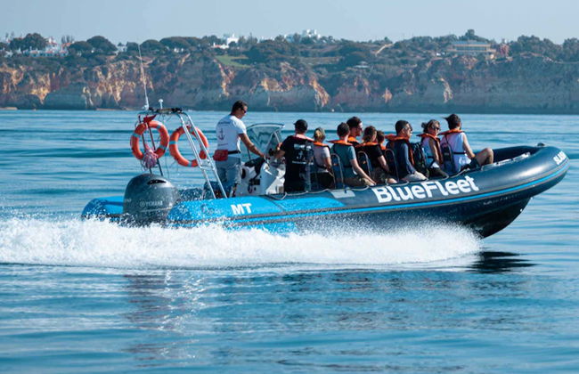 Avistamiento de delfines en Lagos - Foto 6