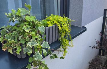 Apartament Nad Nielbą 6Bm2 z ogrodem - Foto 26