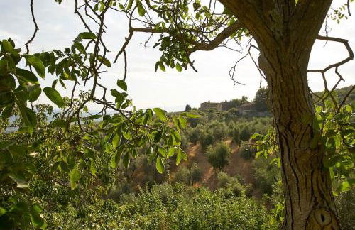 Villa Vestra in Vinci holiday home - Foto 44