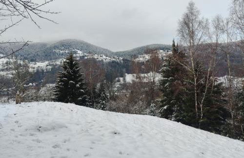 Chalet Meuselotte, à Bussang dans les Vosges - Foto 15