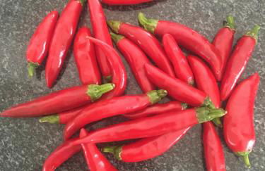 Your Vintage Townhouse - Foto 60