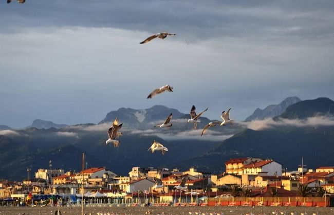 JOIVY Elly's Terrace-old City - Foto 41