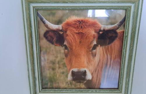 Agréable T2 Classé 3 étoiles, refait à neuf, dans quartier calme - Photo 9