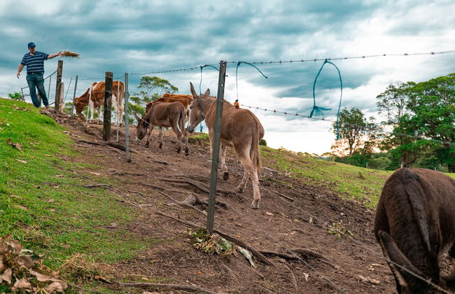 Whispering Valley Cottage Retreat - Photo 58