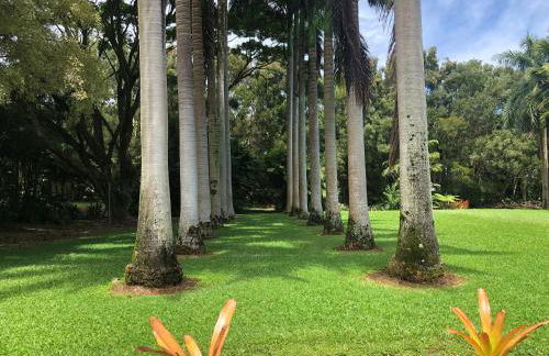 Royal Palm Cottage Hawaii - Foto 1