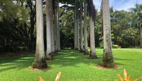 Royal Palm Cottage Hawaii - Foto 1, Garden, Garden view