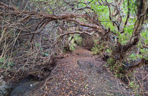 Ryan's Cottage - Photo 41